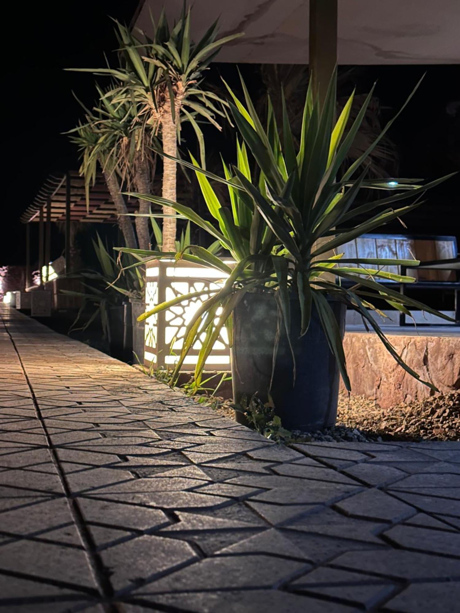 Rum Relaxation Luxury Camp Wadi Rum Ngoại thất bức ảnh