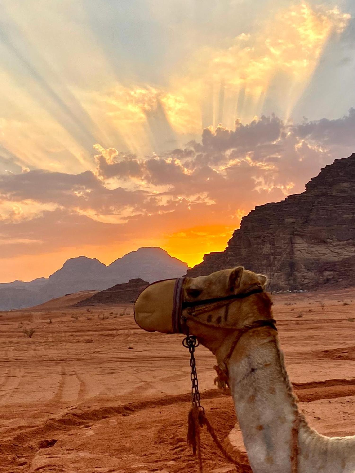 Rum Relaxation Luxury Camp Wadi Rum Ngoại thất bức ảnh